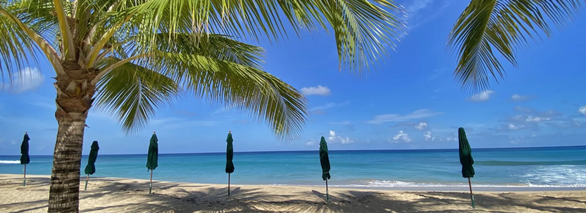 Welcome to Barbados!